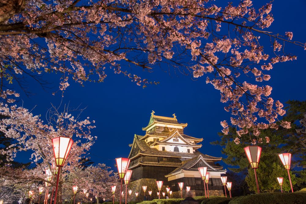 松江城山公園の画像 - 3枚目