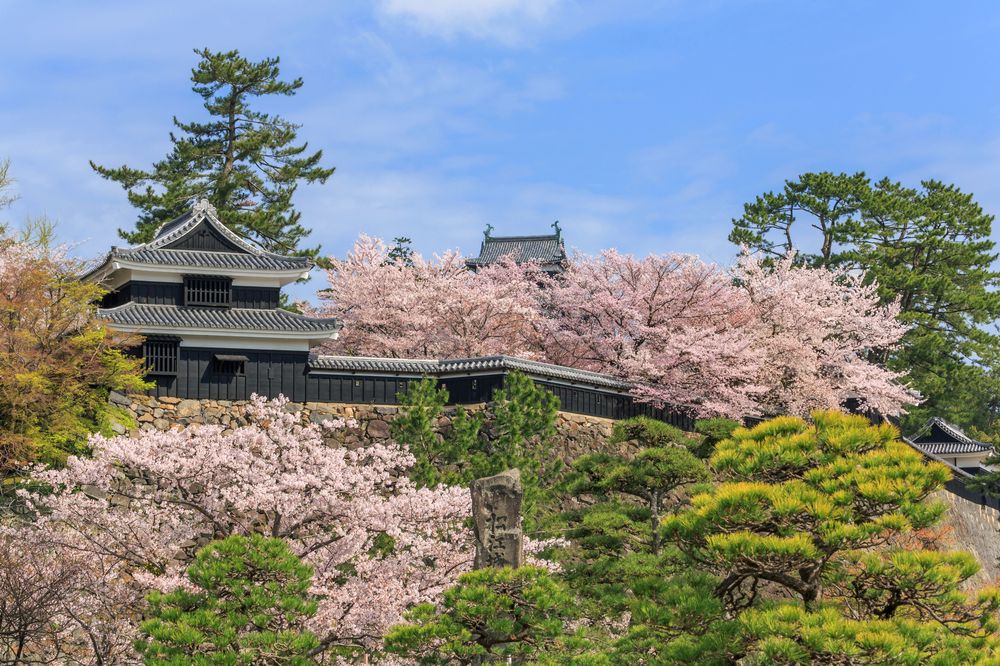 松江城山公園