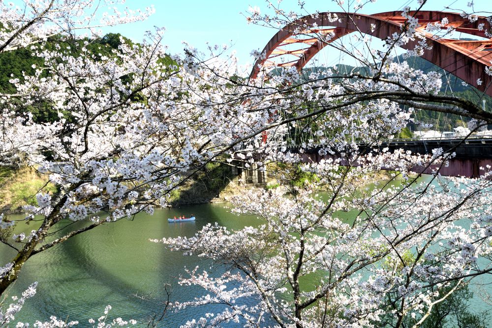 七川ダム湖畔の画像 - 3枚目