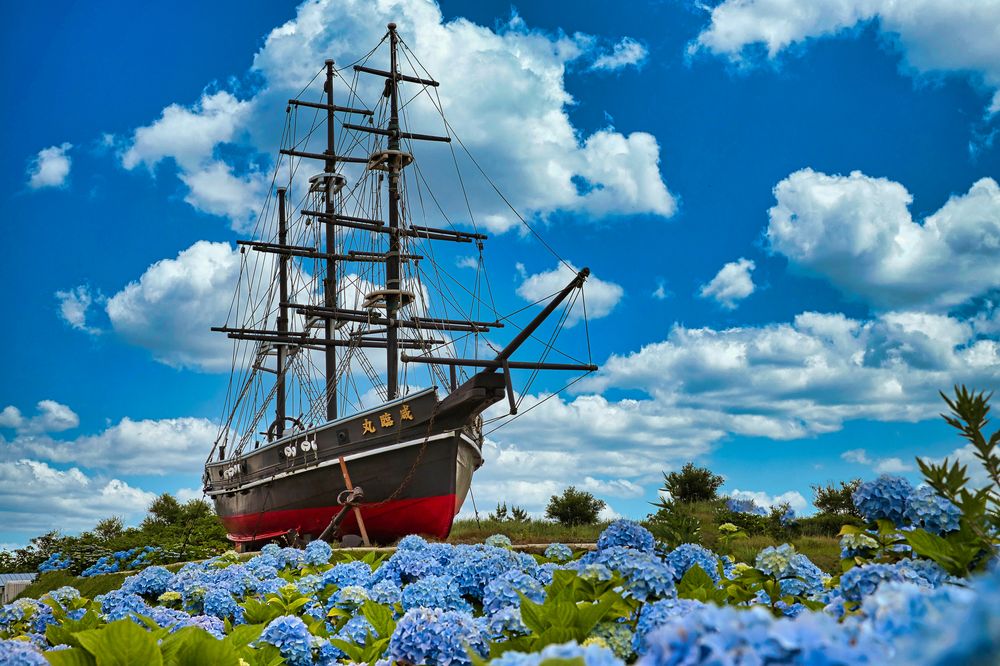 サラキ岬チューリップ園】の周辺スポット・アクセス・口コミ - Prism Japan