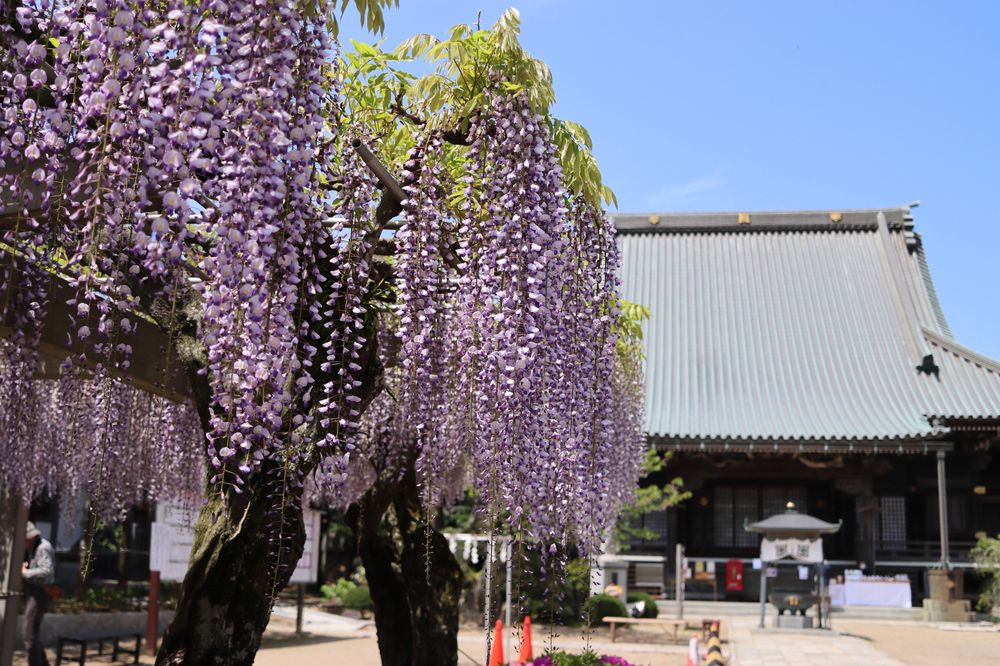 妙福寺