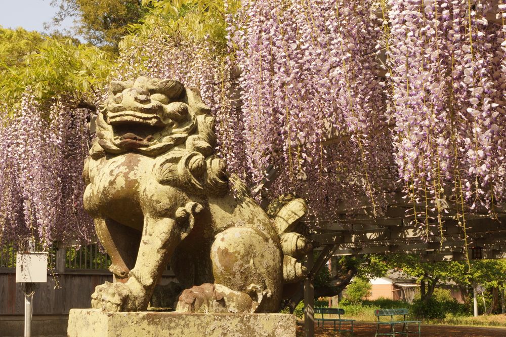 大中臣神社の画像 - 3枚目