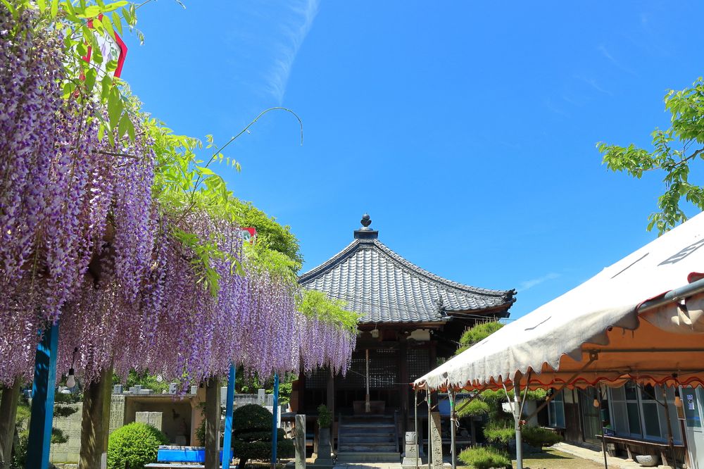 禎祥寺