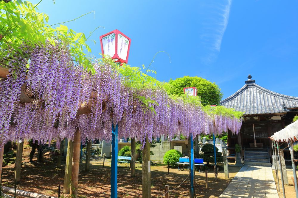 禎祥寺の画像 - 2枚目
