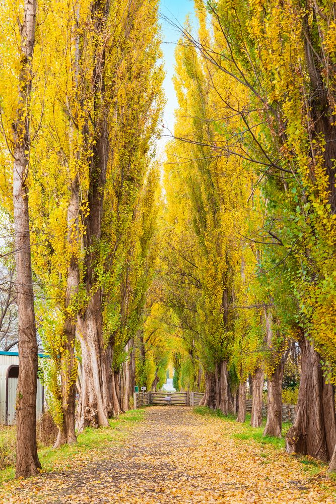 北海道大学の画像 - 2枚目