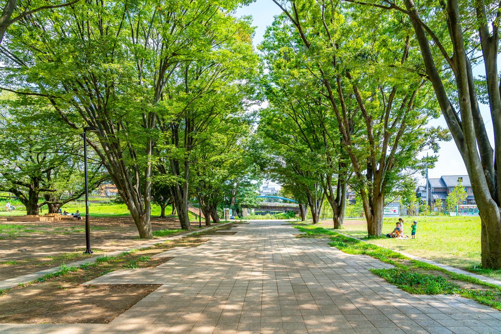 南町田グランベリーパークの画像 - 2枚目