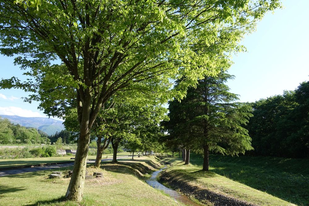 直江堤公園の画像 - 2枚目