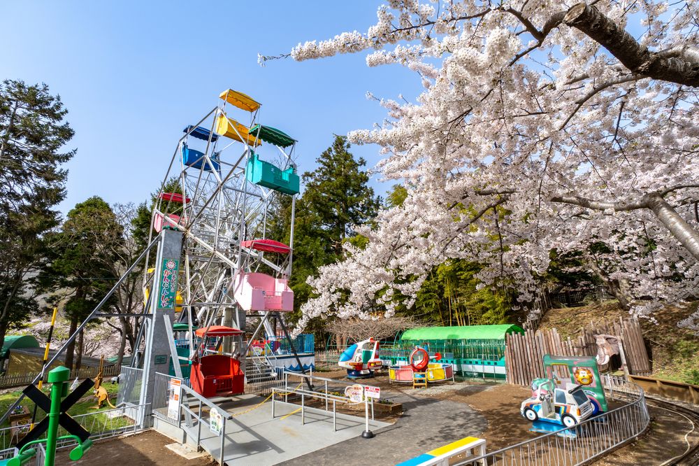 函館公園こどものくにの画像 - 3枚目