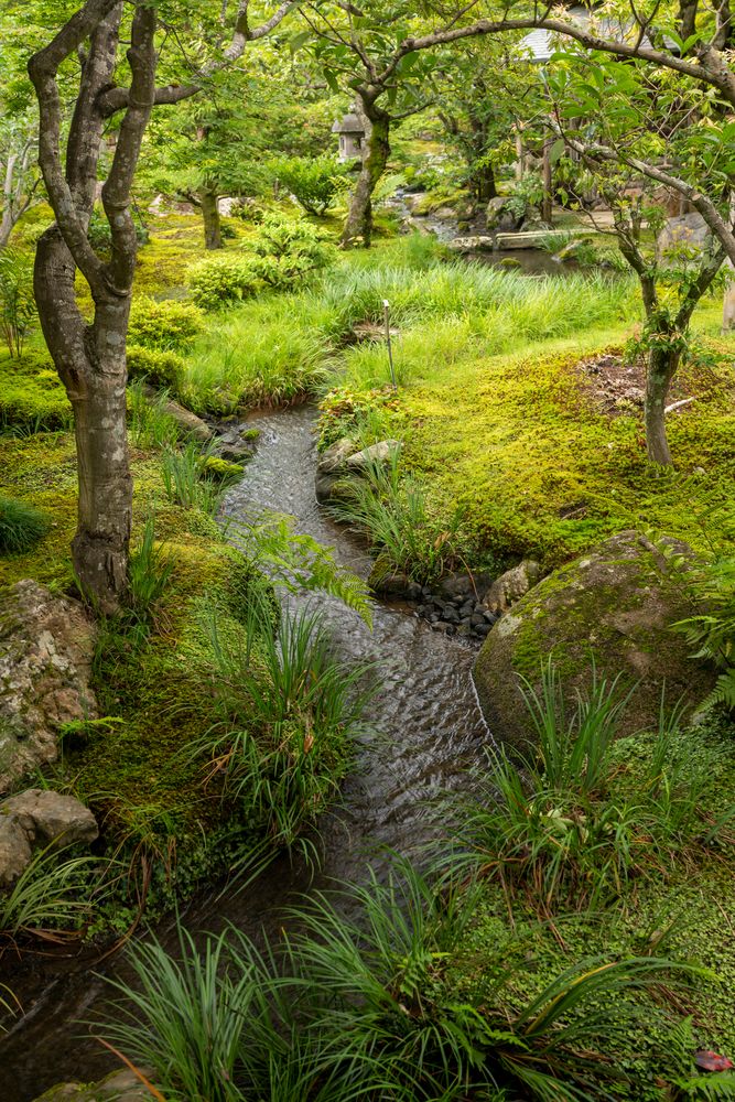 天龍寺の画像 - 5枚目