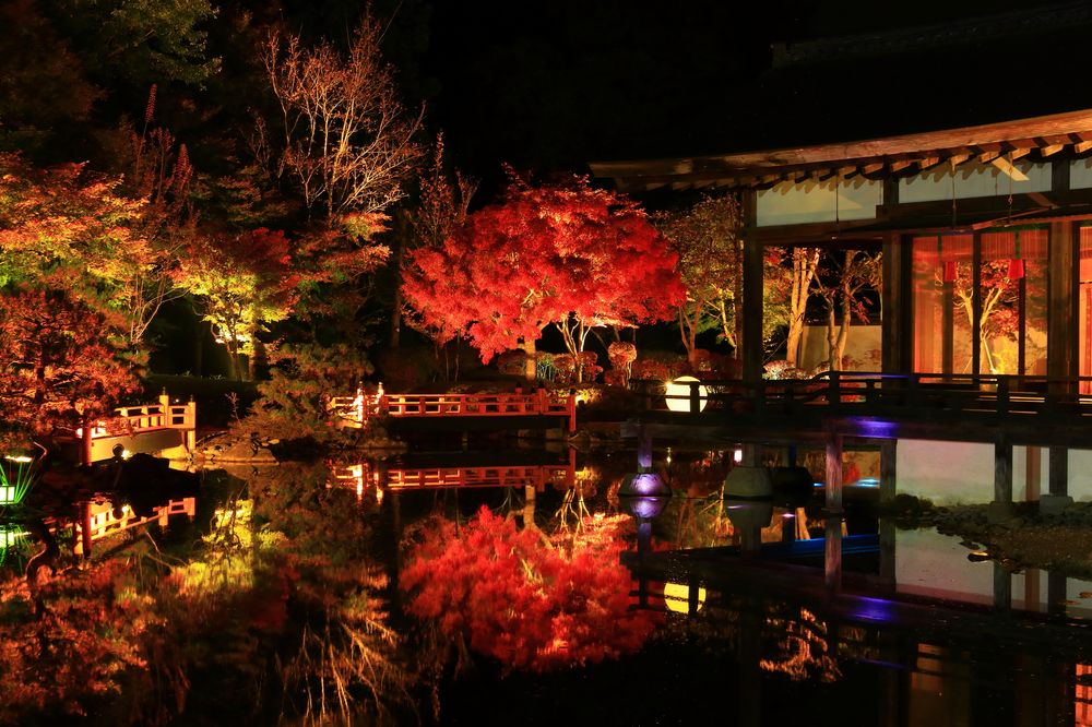 歴史公園えさし藤原の郷の画像 - 3枚目