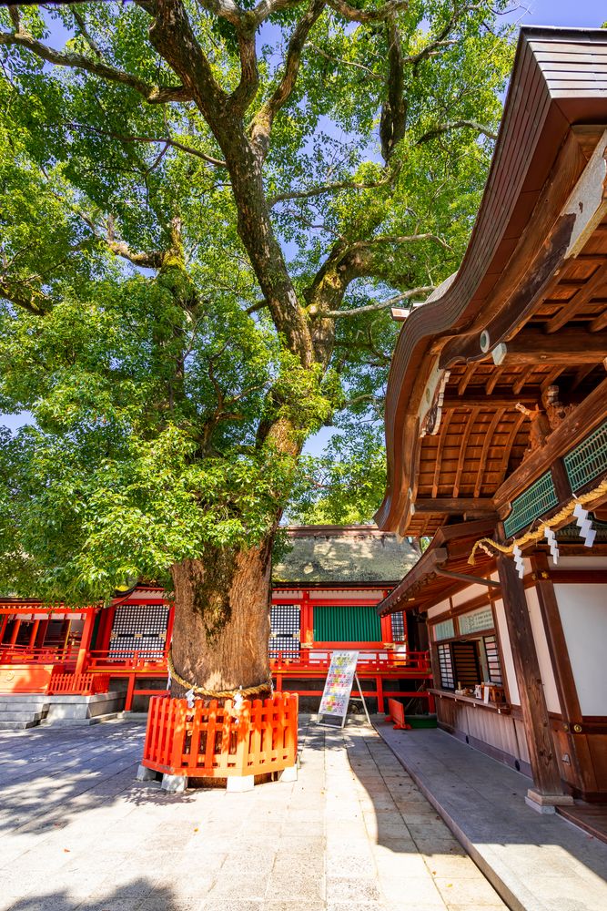 神道玄兆録 No.1～No.3 宇佐美 景堂 著 神道玄兆録 No.1～No.3 宇佐美