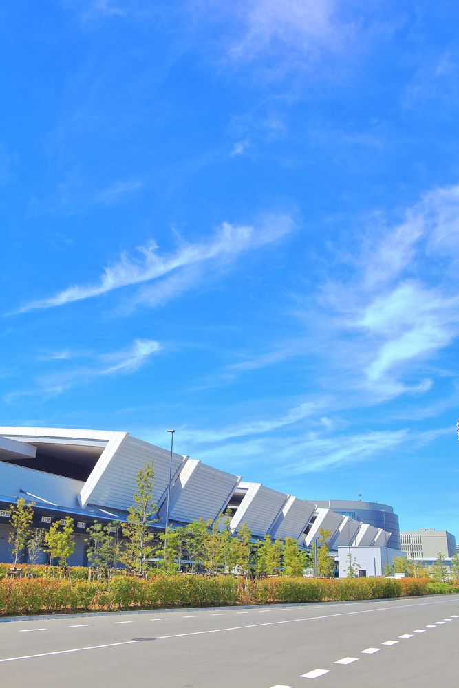 豊洲市場の画像 - 2枚目