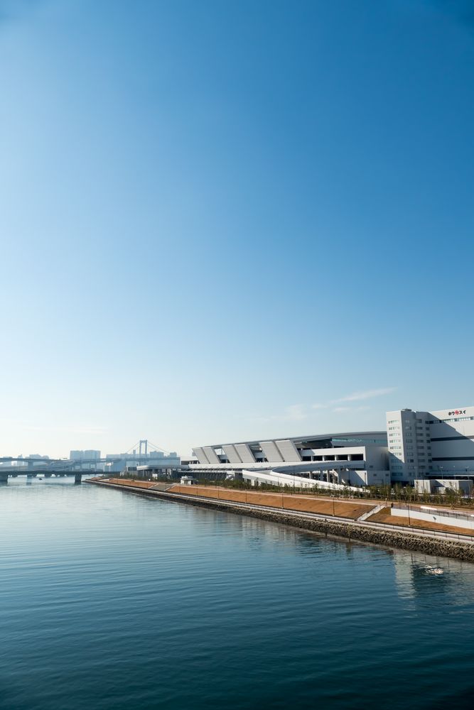 豊洲市場の画像 - 4枚目