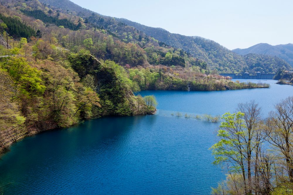 四万川ダムの画像 - 3枚目