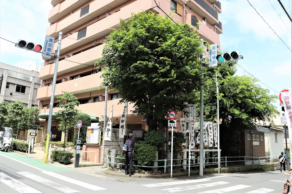 縁切榎の画像 - 2枚目