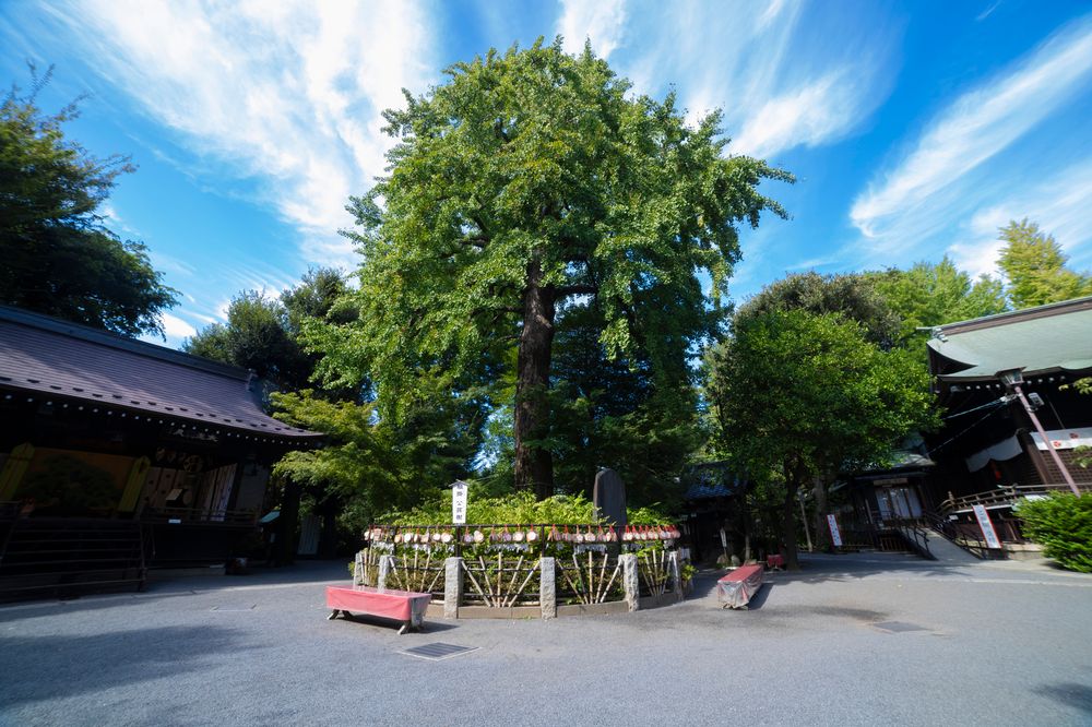 七社神社の画像 - 4枚目