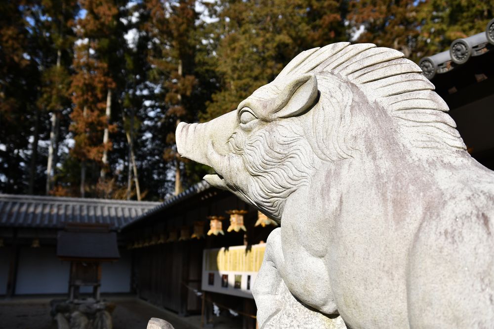 馬見岡綿向神社の画像 - 3枚目