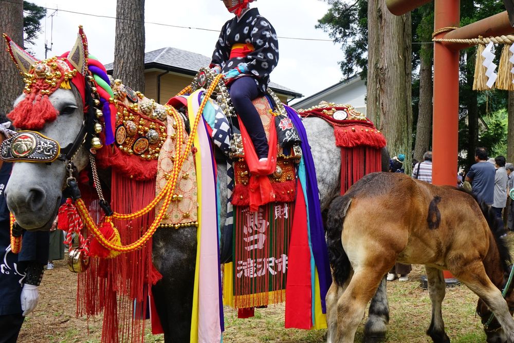 鬼越蒼前神社の画像 - 3枚目