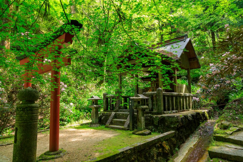 岡寺の画像 - 4枚目