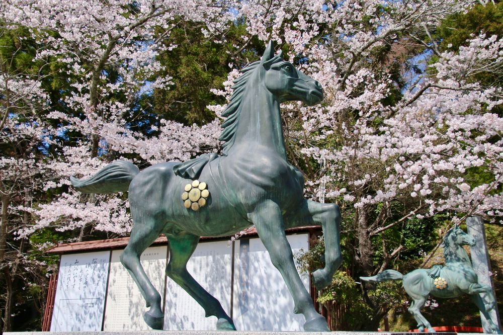 相馬中村神社の画像 - 3枚目