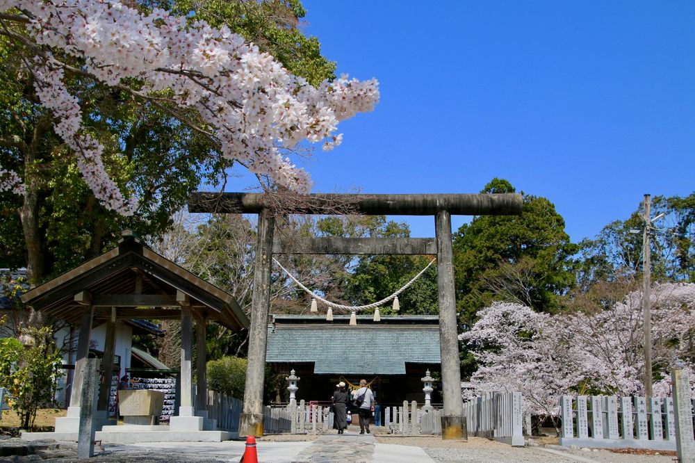 相馬中村神社の画像 - 4枚目