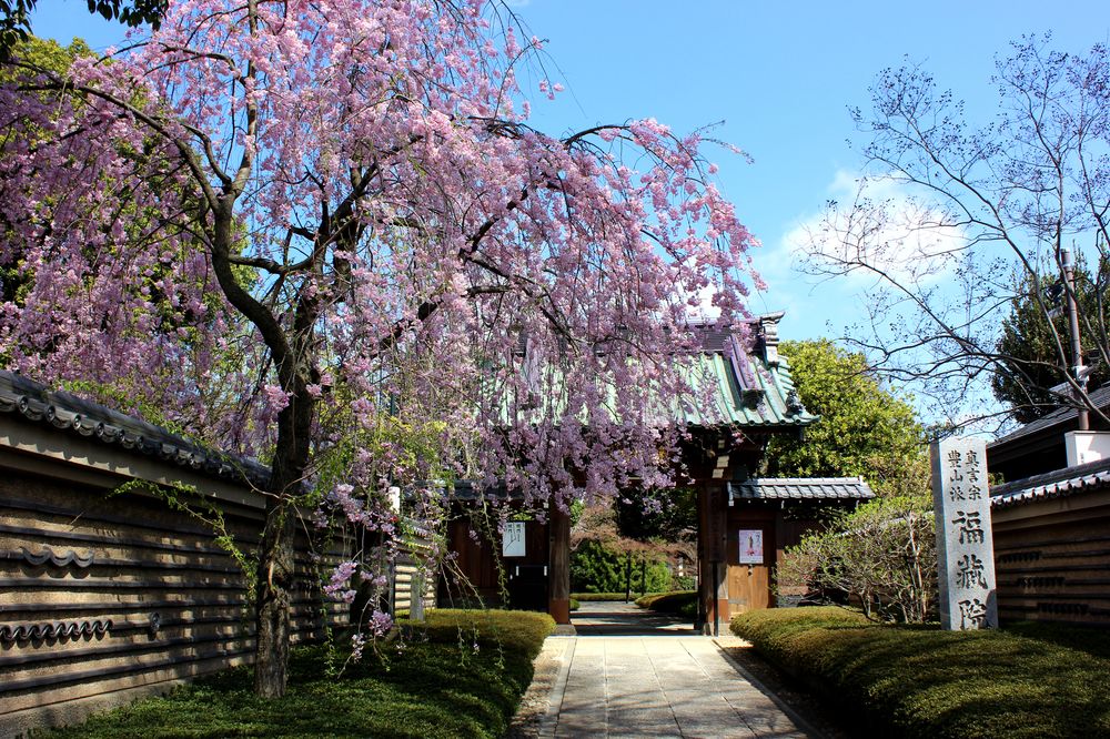 鷺宮八幡神社の画像 - 3枚目