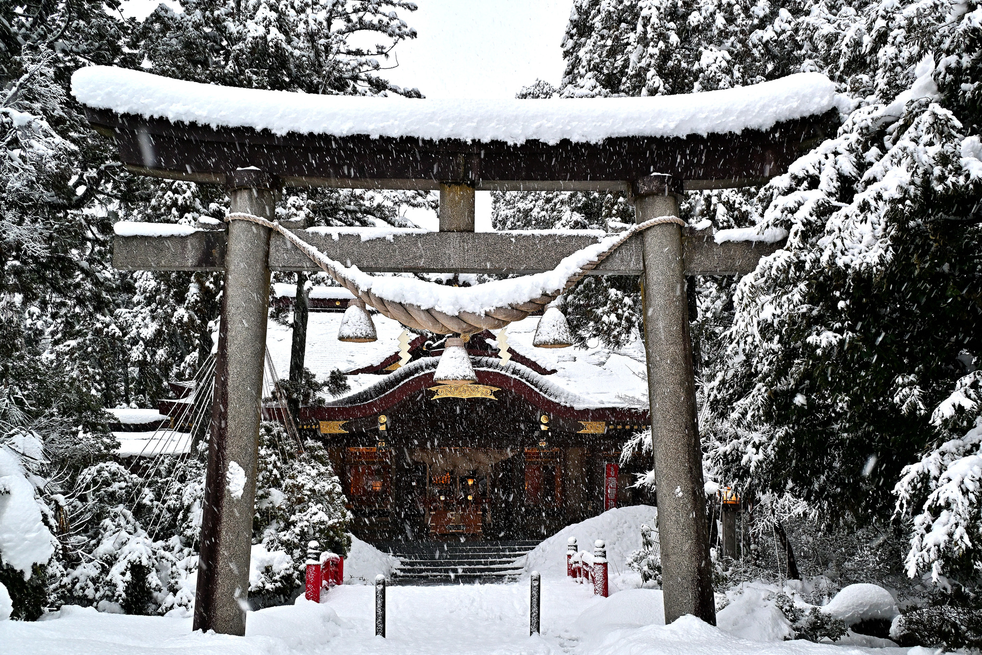 高瀬神社の画像 - 2枚目