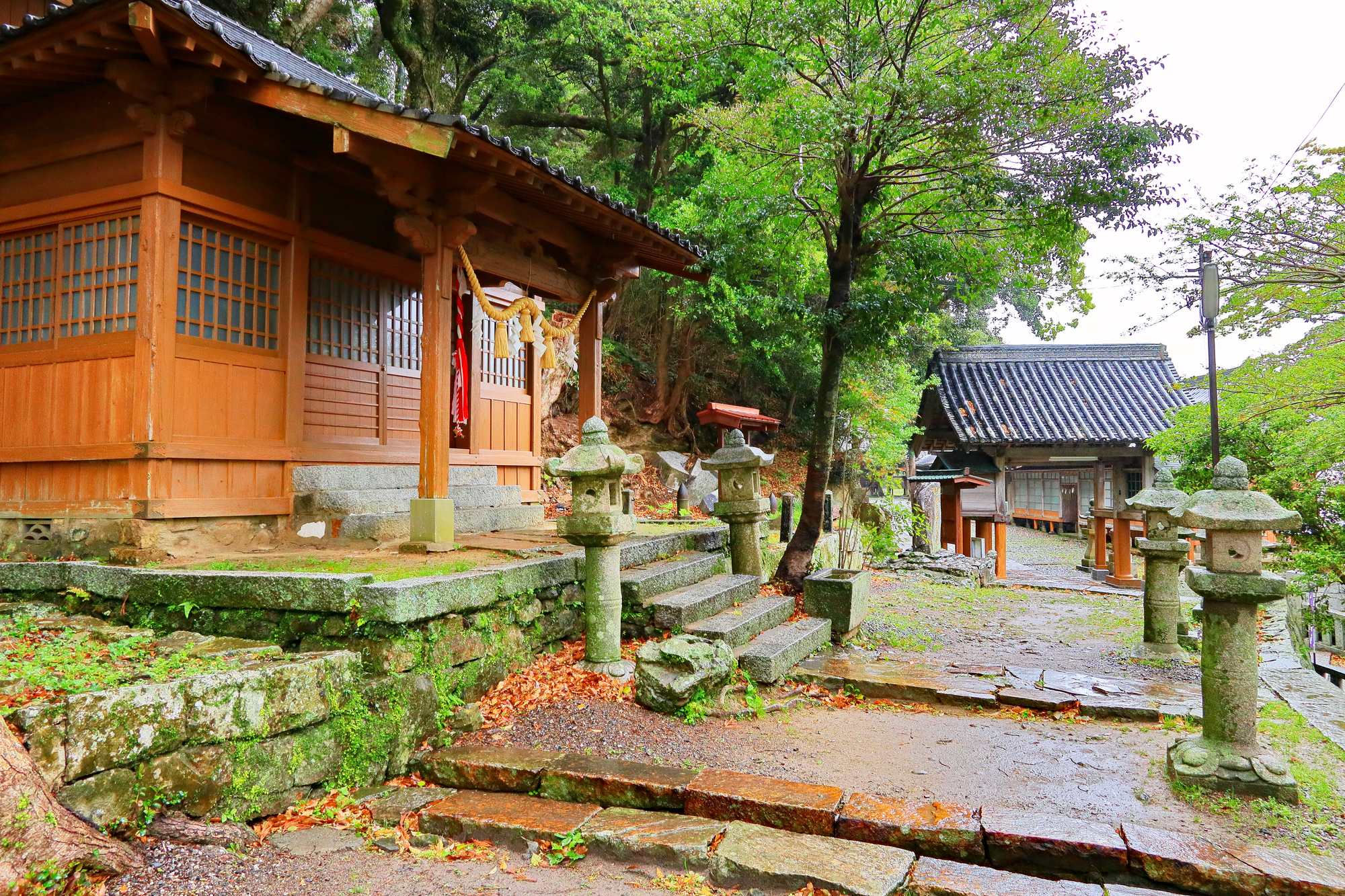 厳原八幡宮神社の画像 - 2枚目