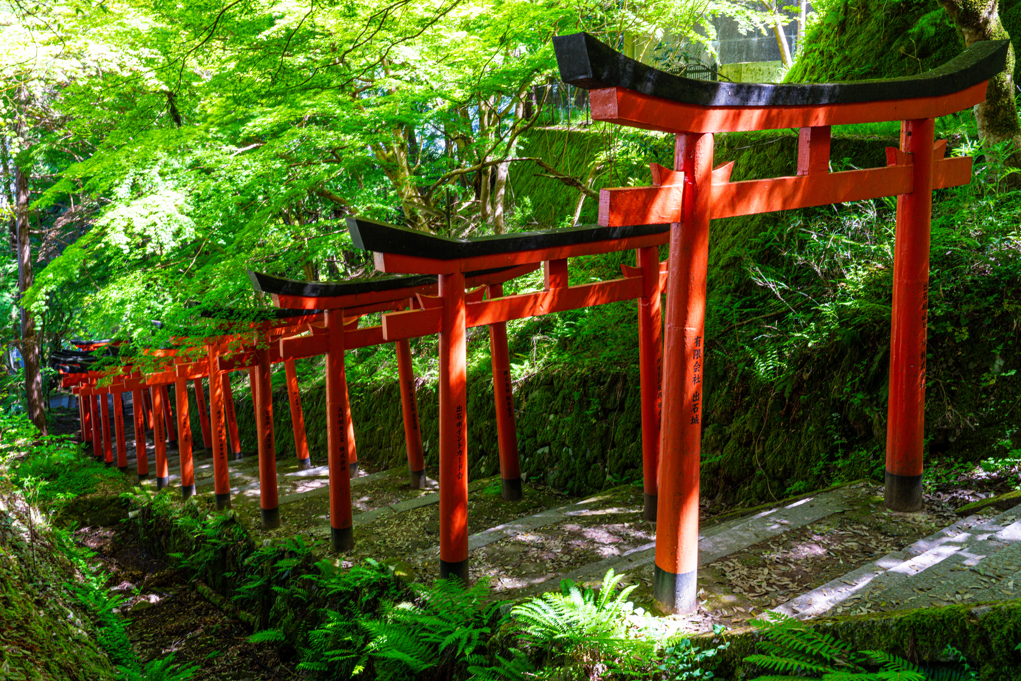 出石神社の画像 - 2枚目
