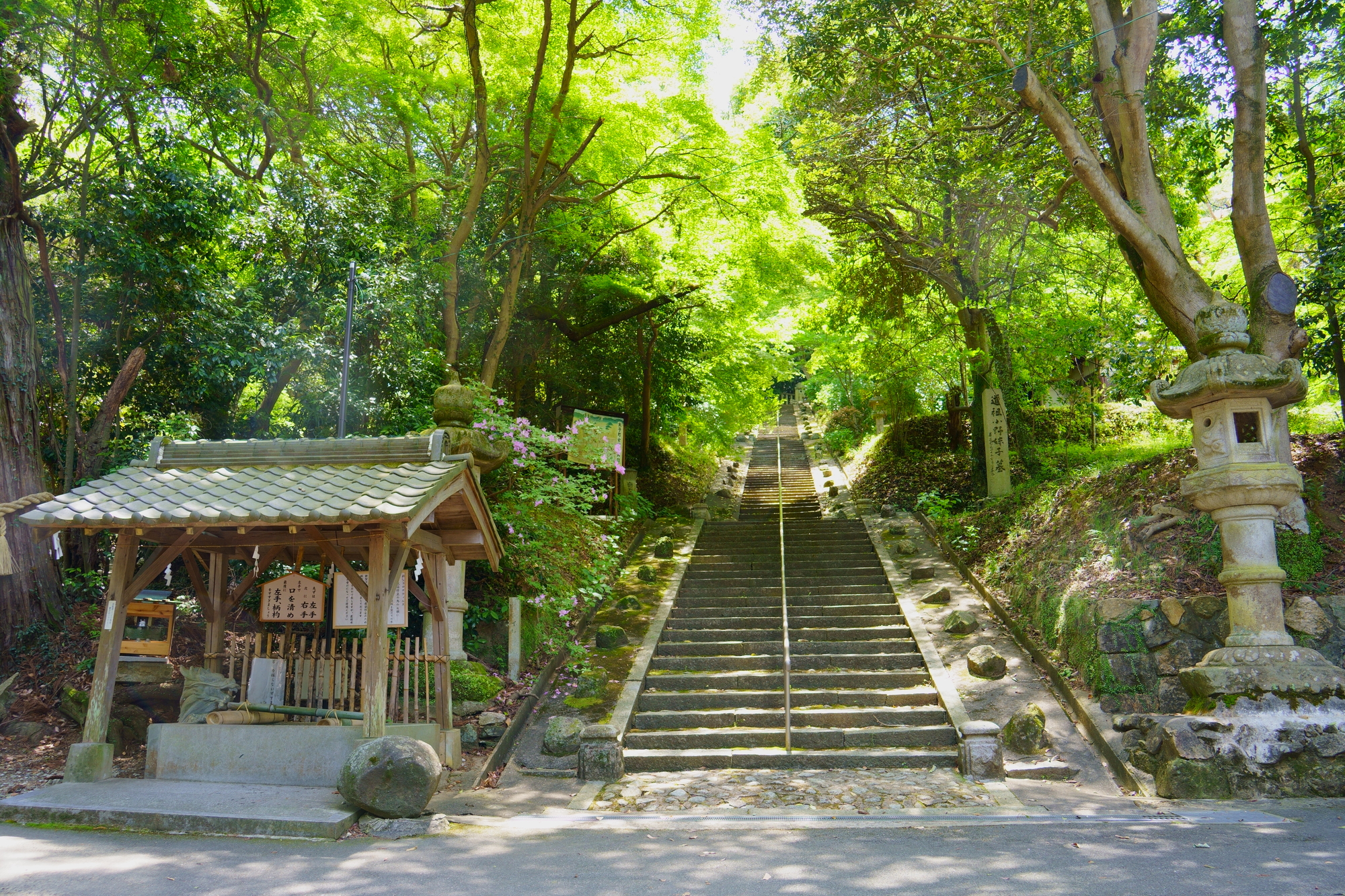 科長神社の画像 - 2枚目