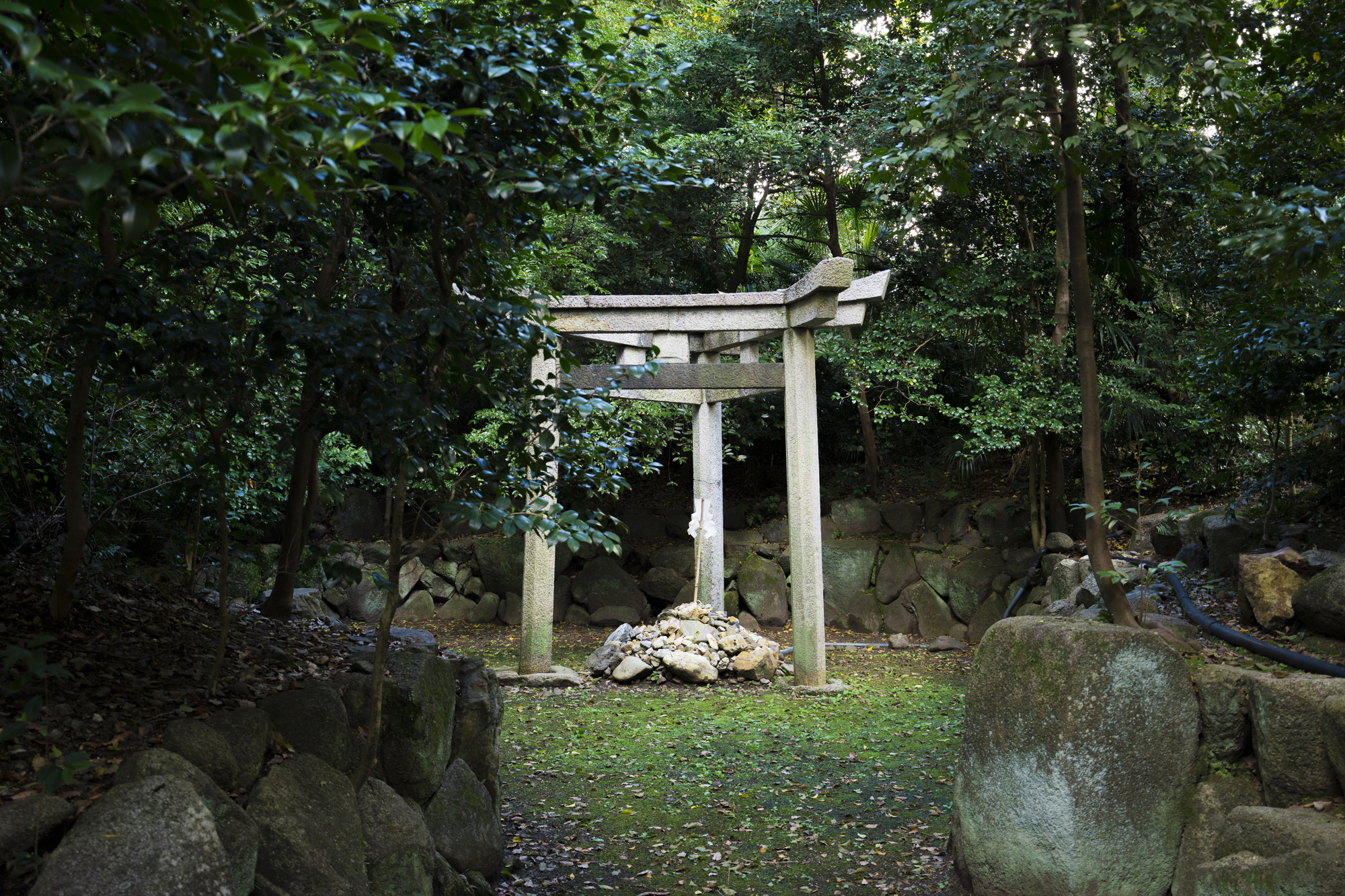 木嶋坐天照御魂神社