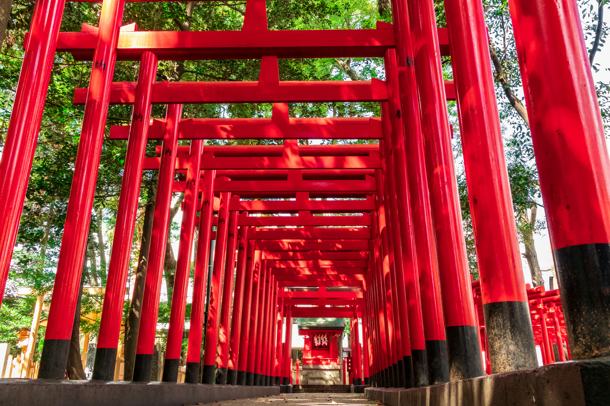闇之森八幡社の画像 - 2枚目