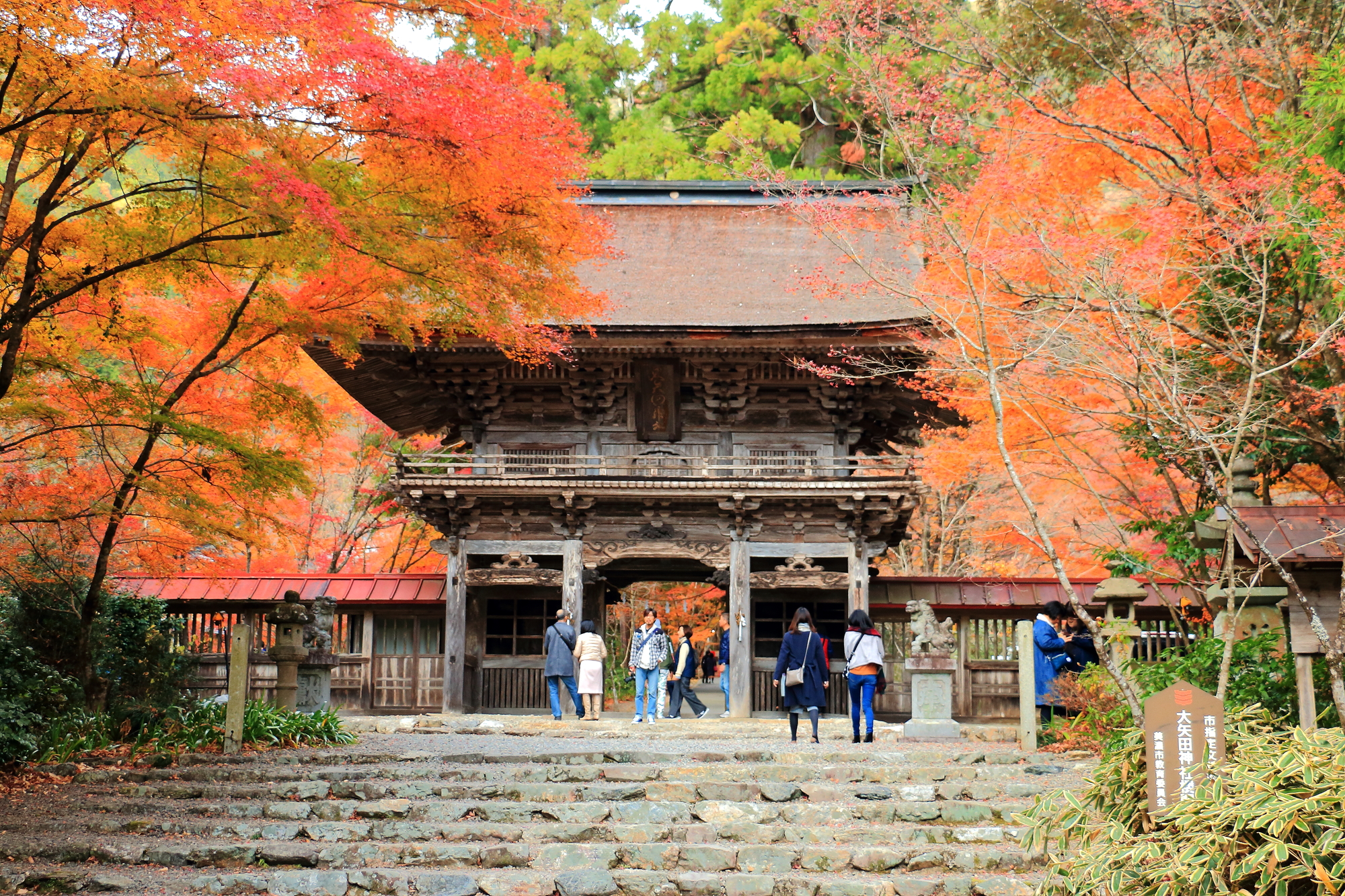 大矢田神社の画像 - 2枚目