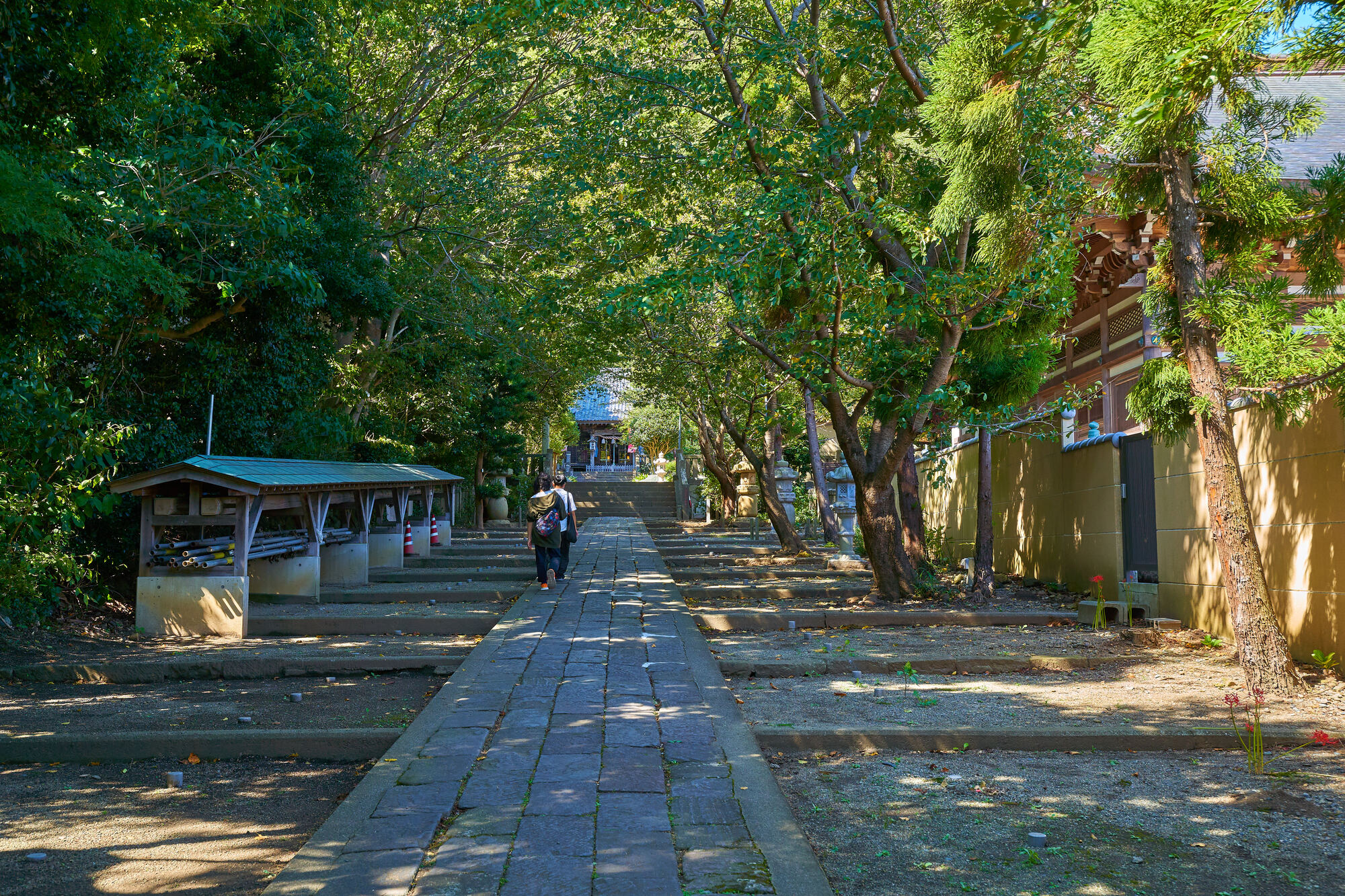 高来神社の画像 - 2枚目
