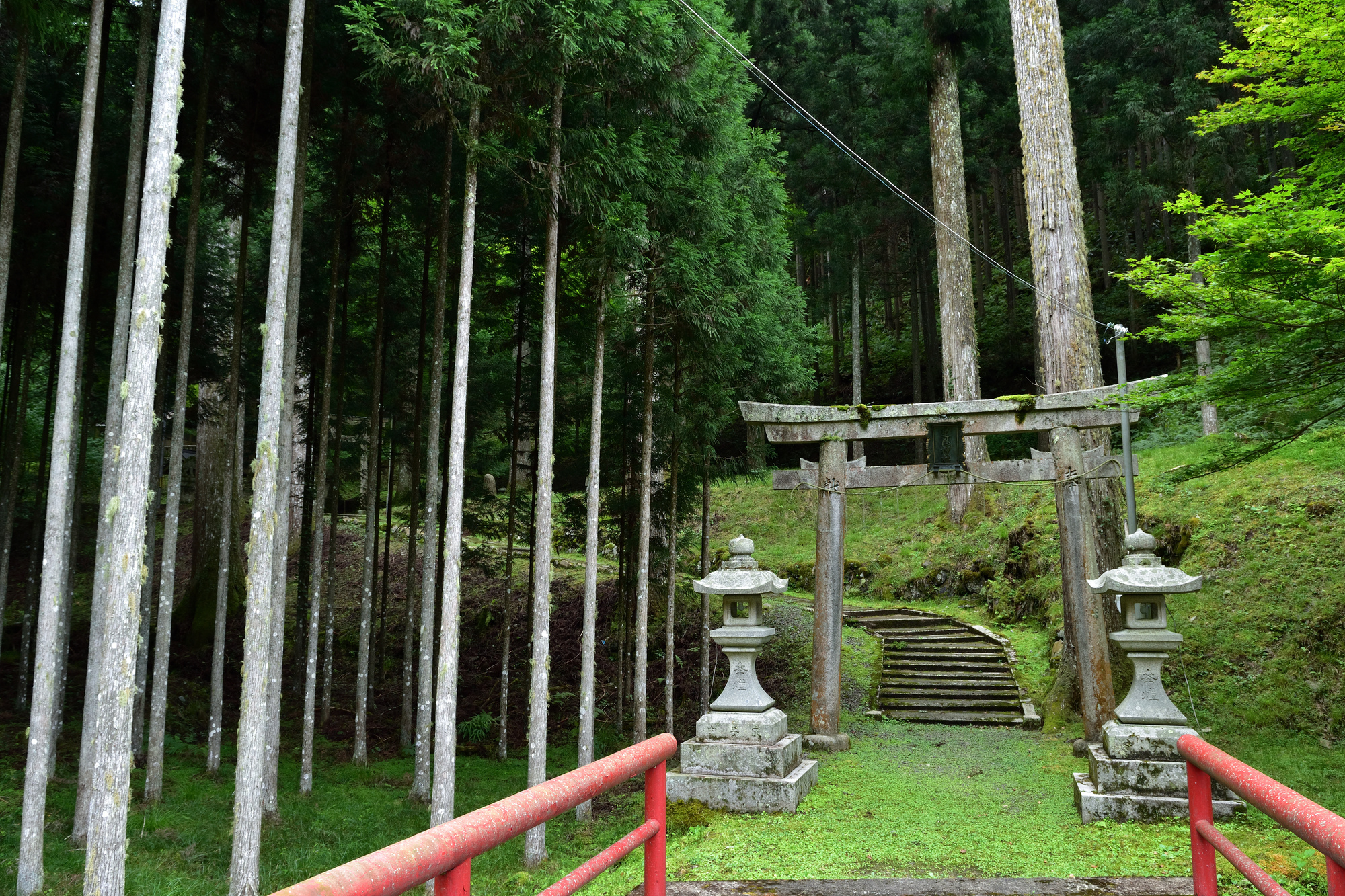 道風神社の画像 - 2枚目