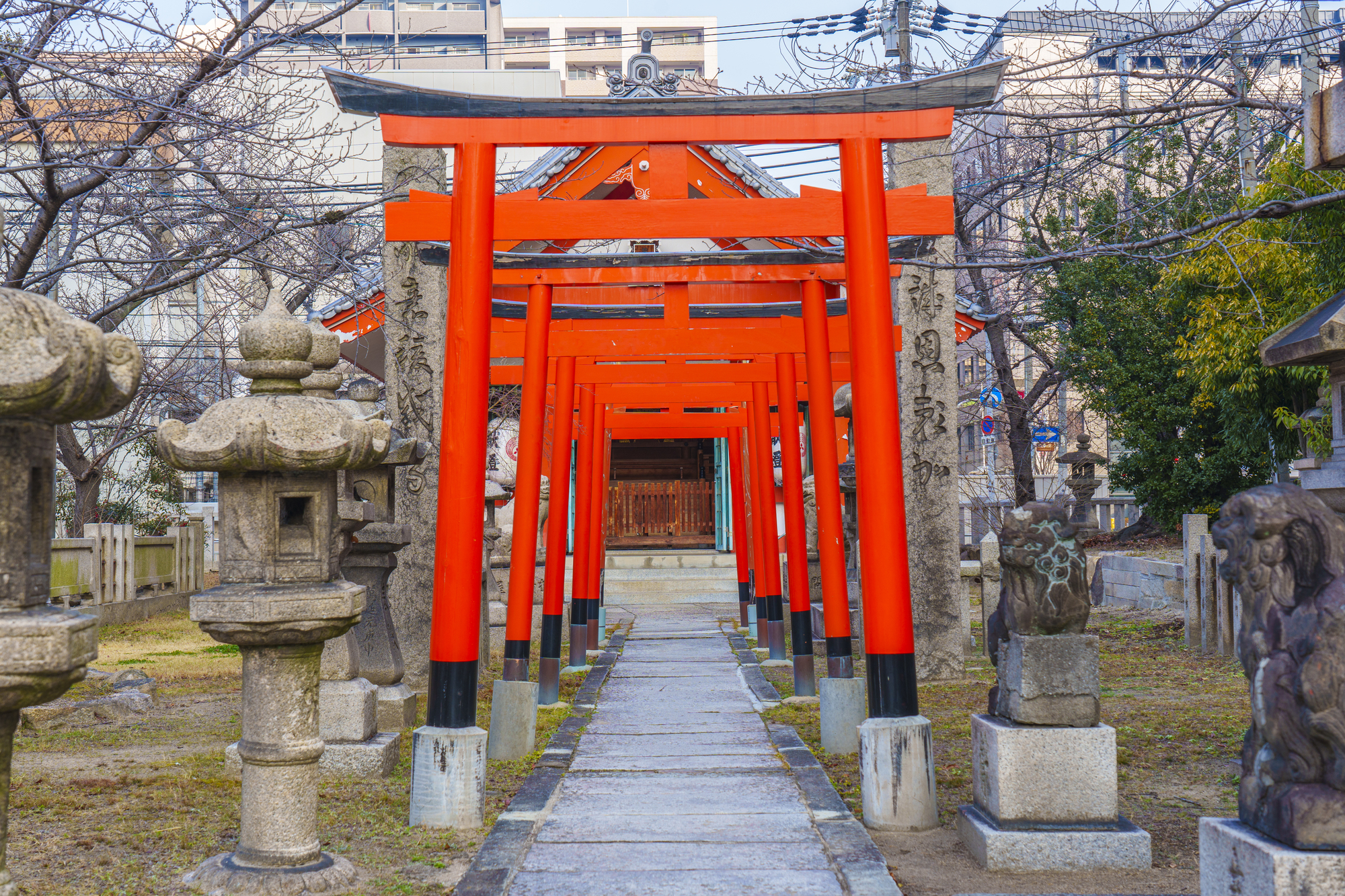 土佐稲荷神社の画像 - 2枚目