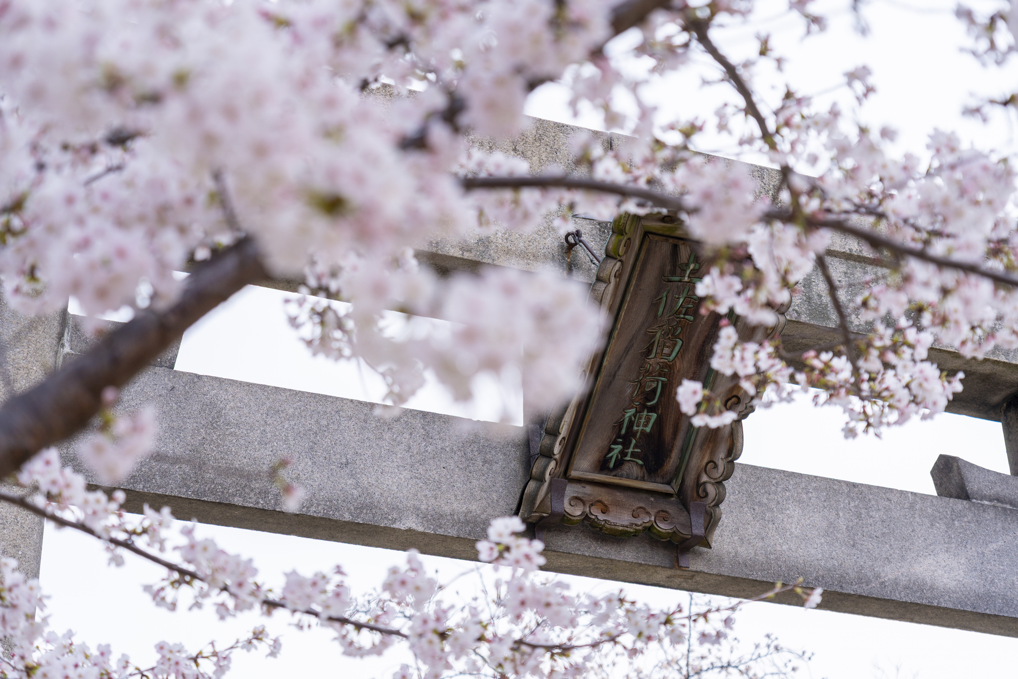 土佐稲荷神社