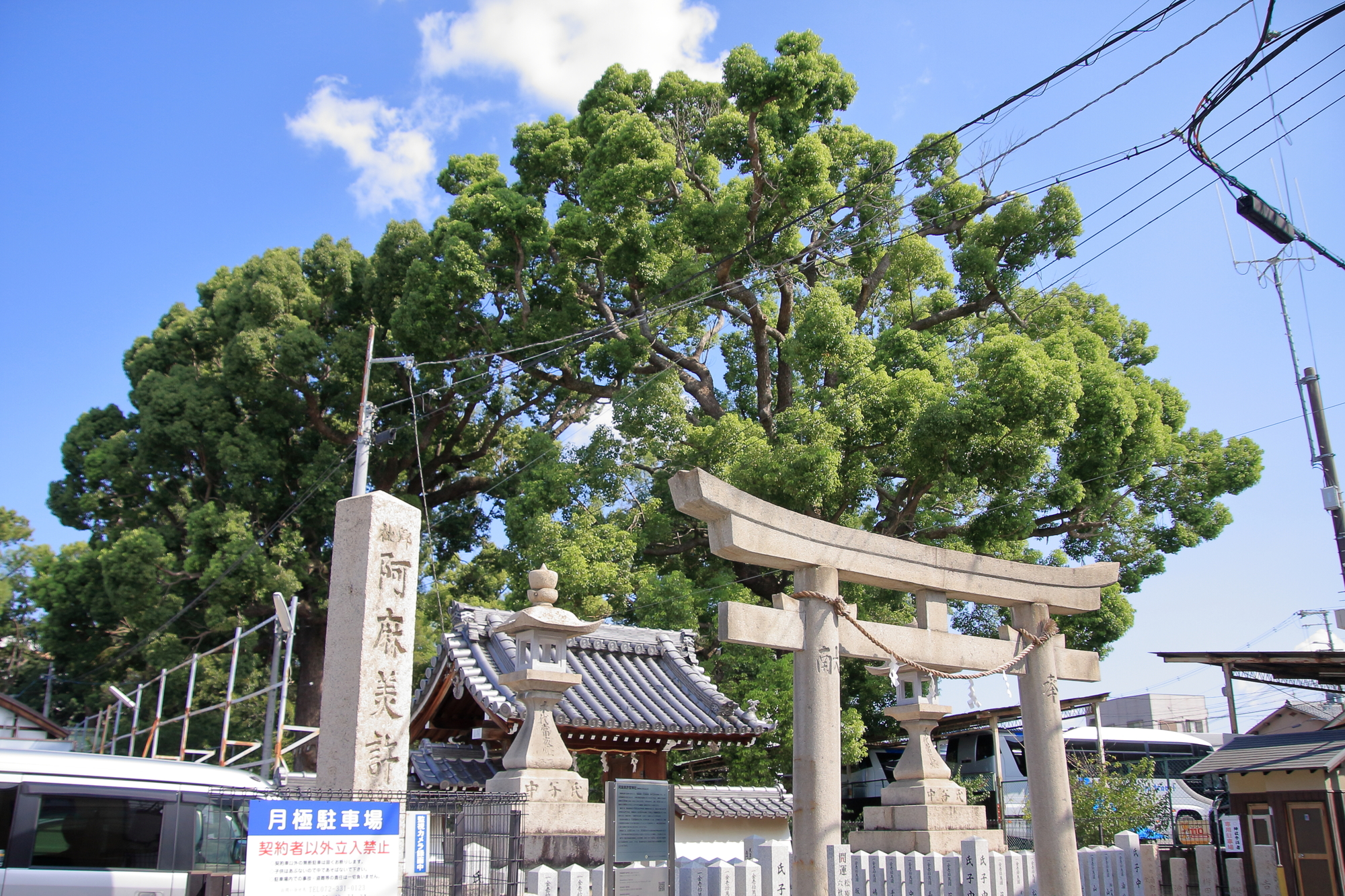阿麻美許曾神社の画像 - 2枚目