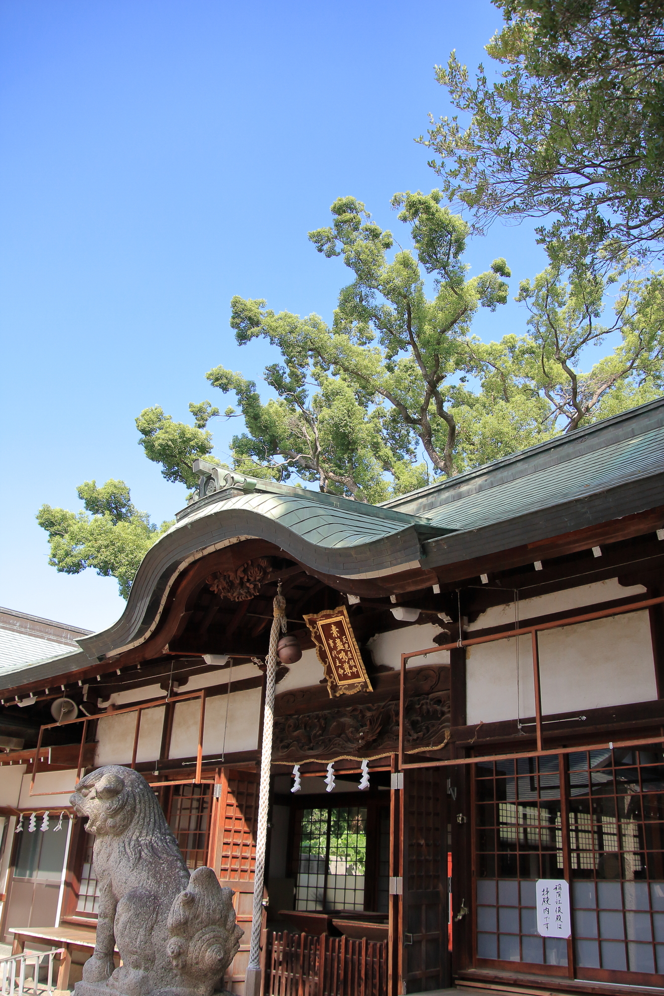 阿麻美許曾神社
