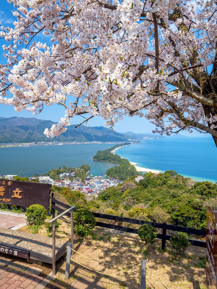 天橋立ビューランドの画像 - 2枚目