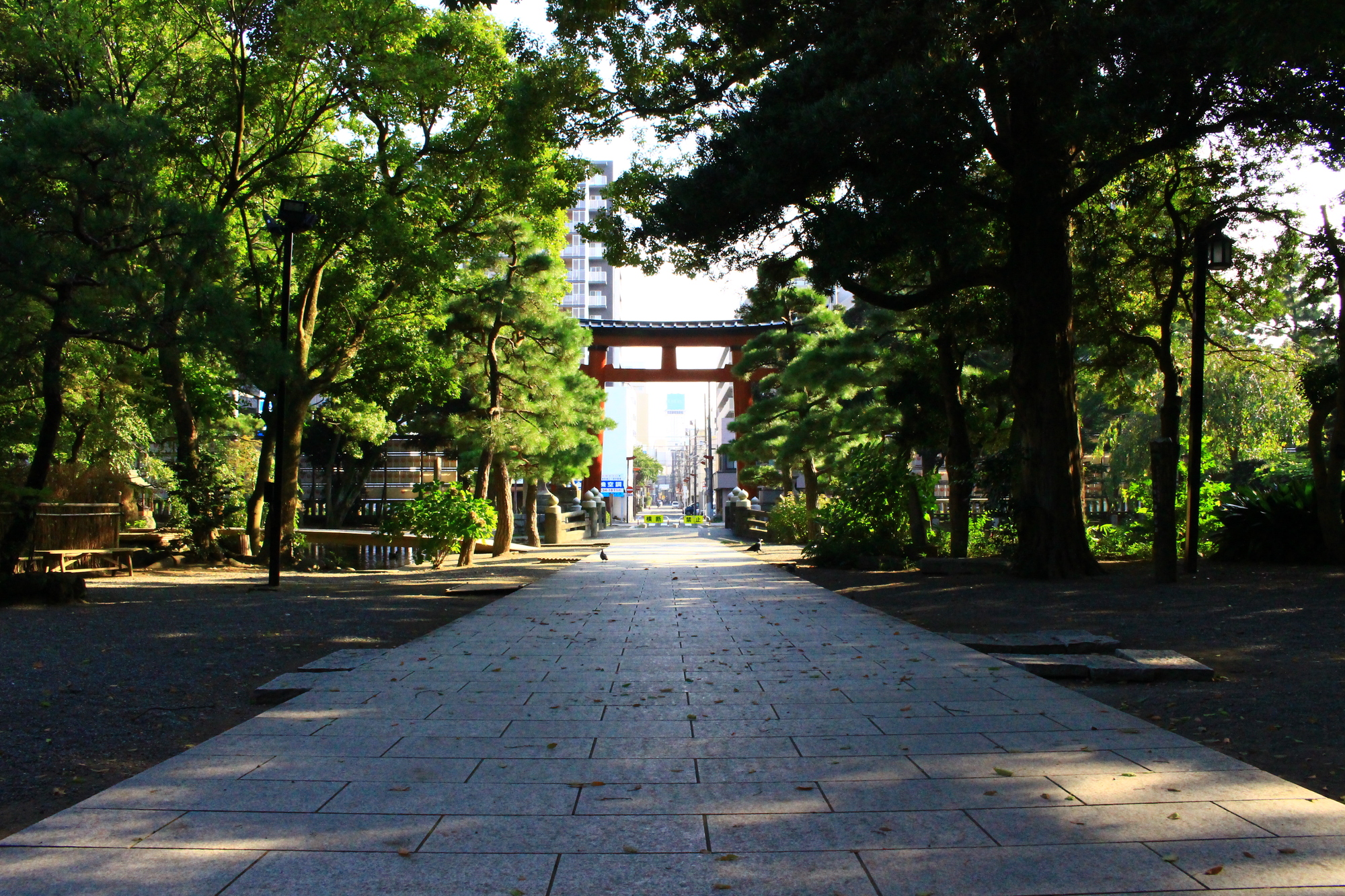前鳥神社の画像 - 2枚目