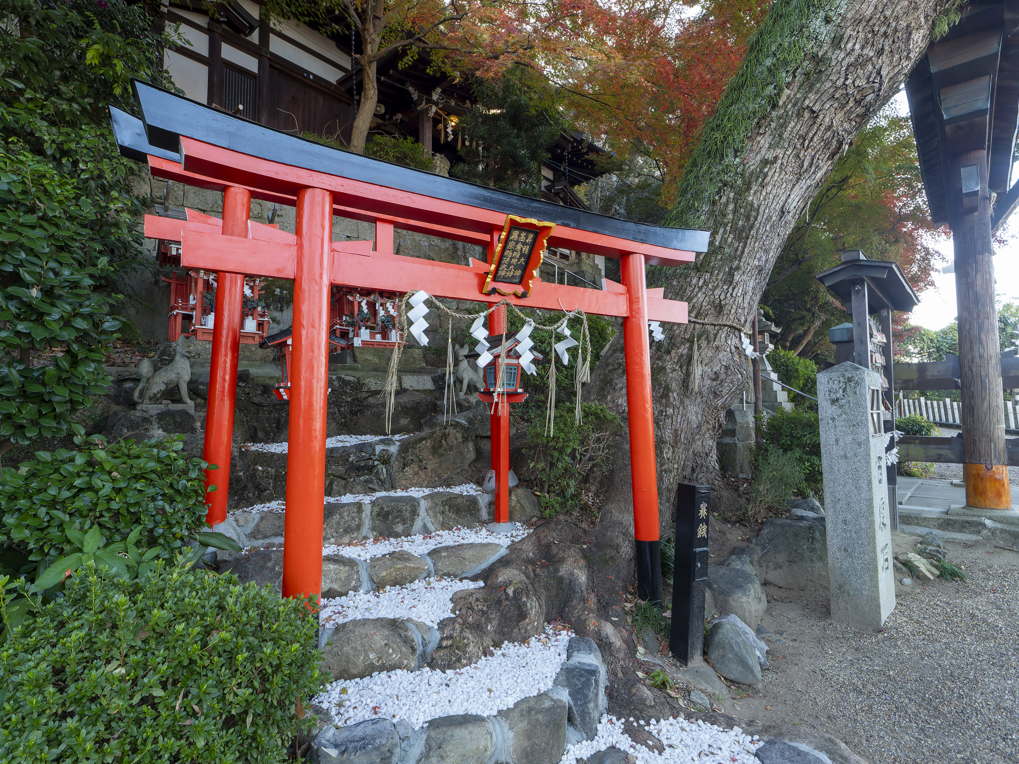 鐸比古鐸比賣神社の画像 - 2枚目
