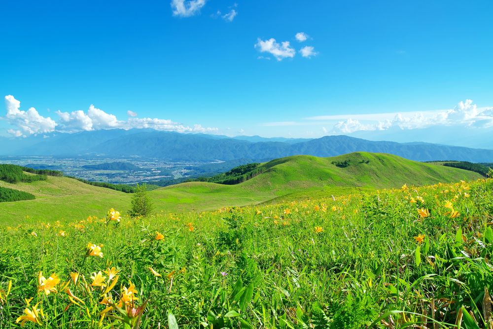 車山高原の画像 - 3枚目