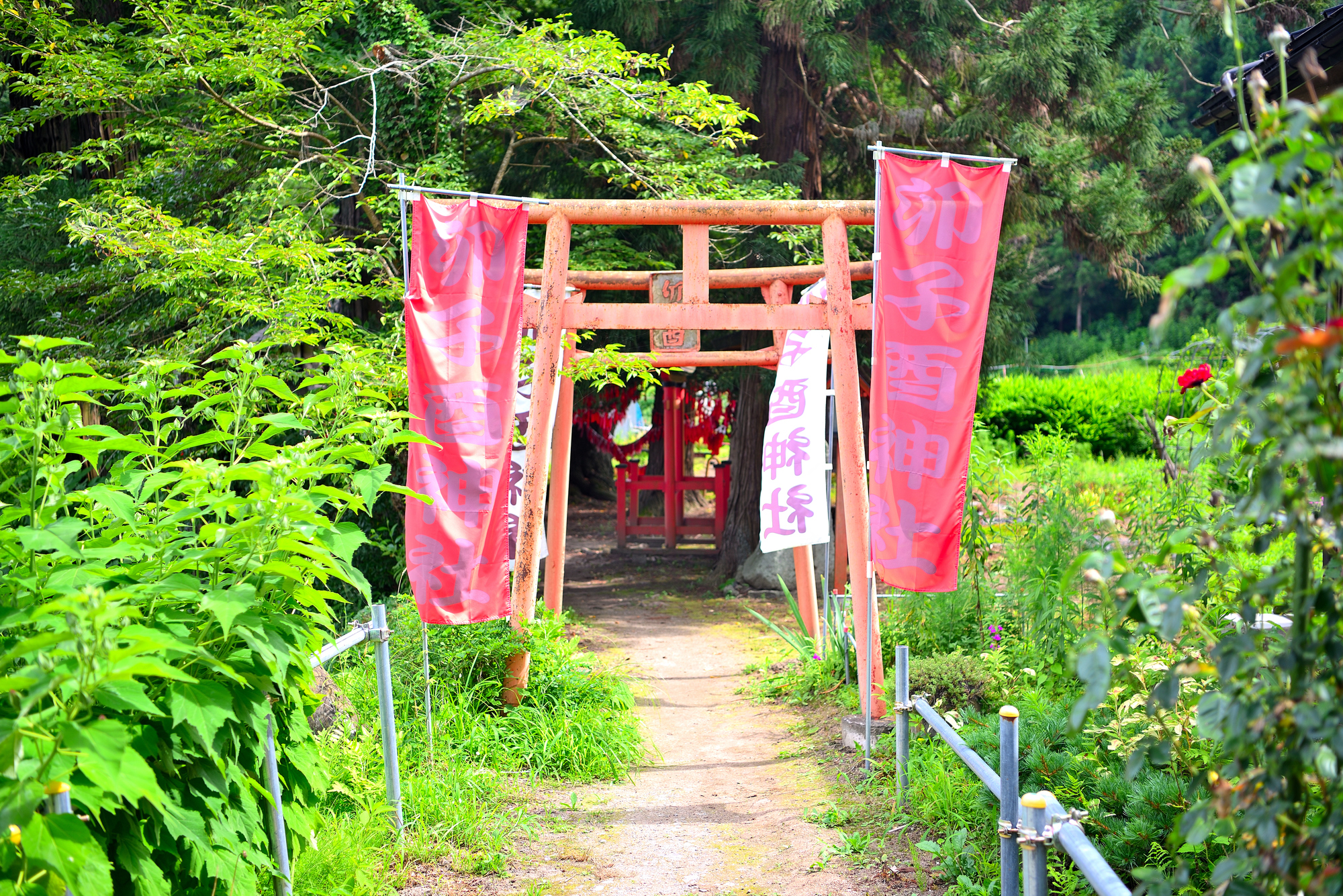 卯子酉神社