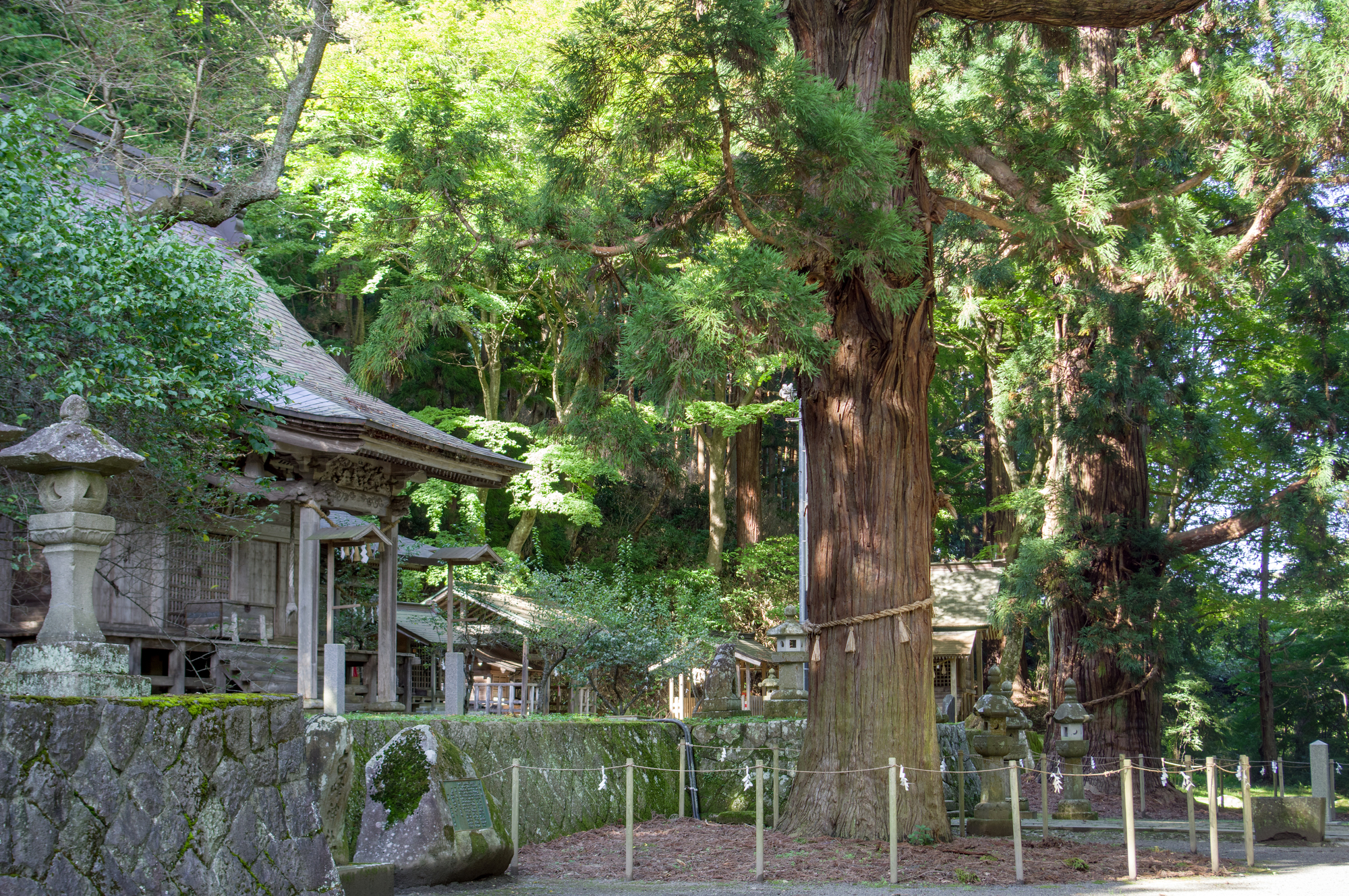 配志和神社の画像 - 2枚目