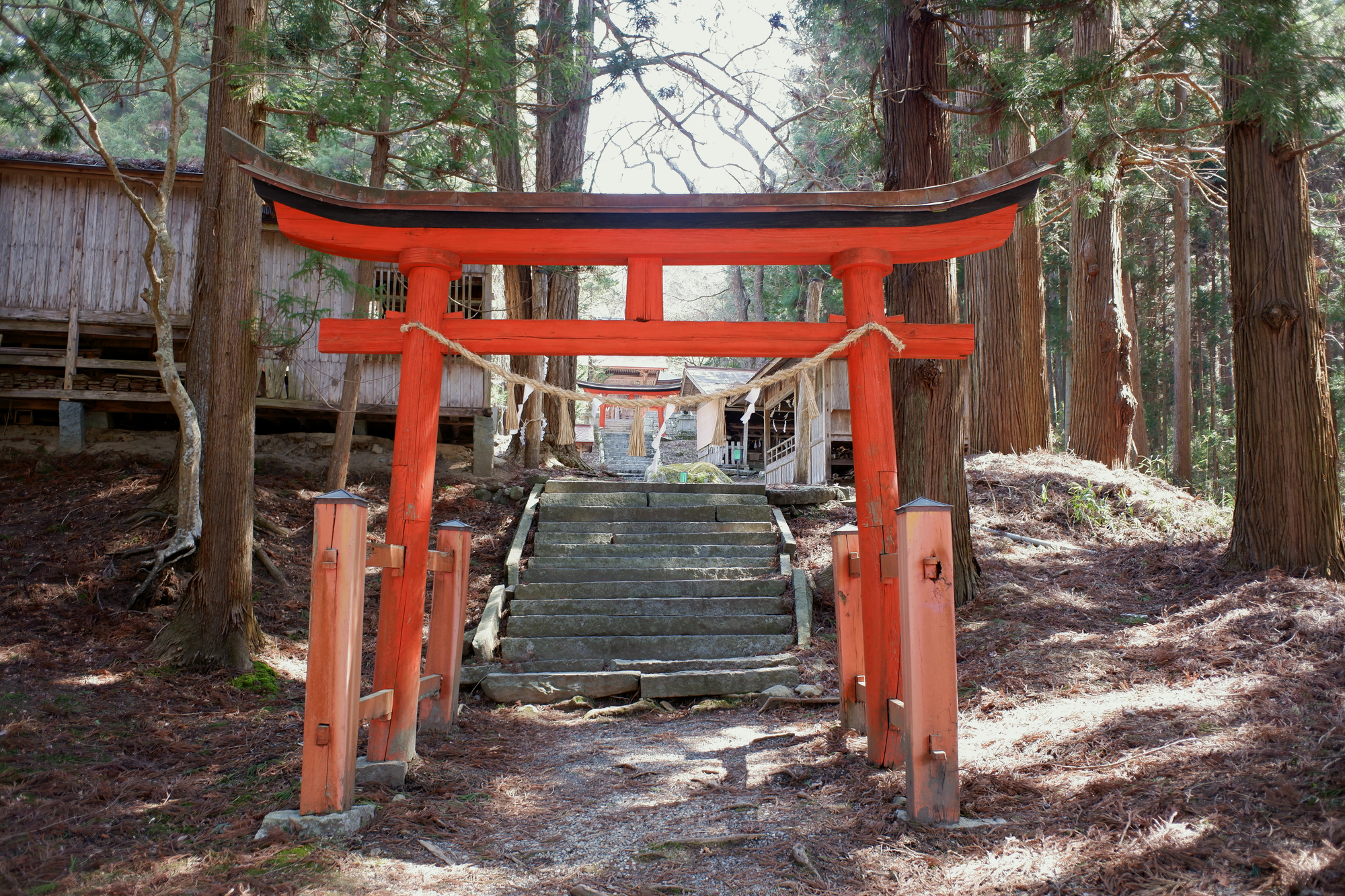 丹内山神社