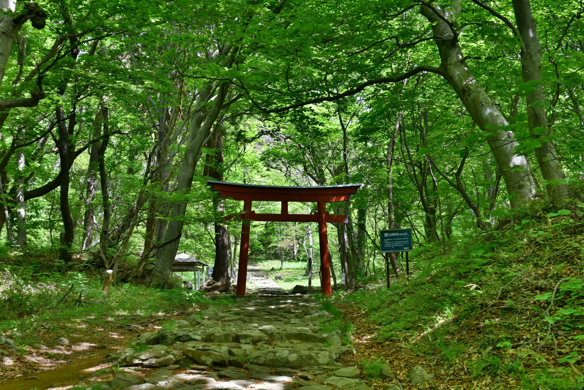 赤神神社