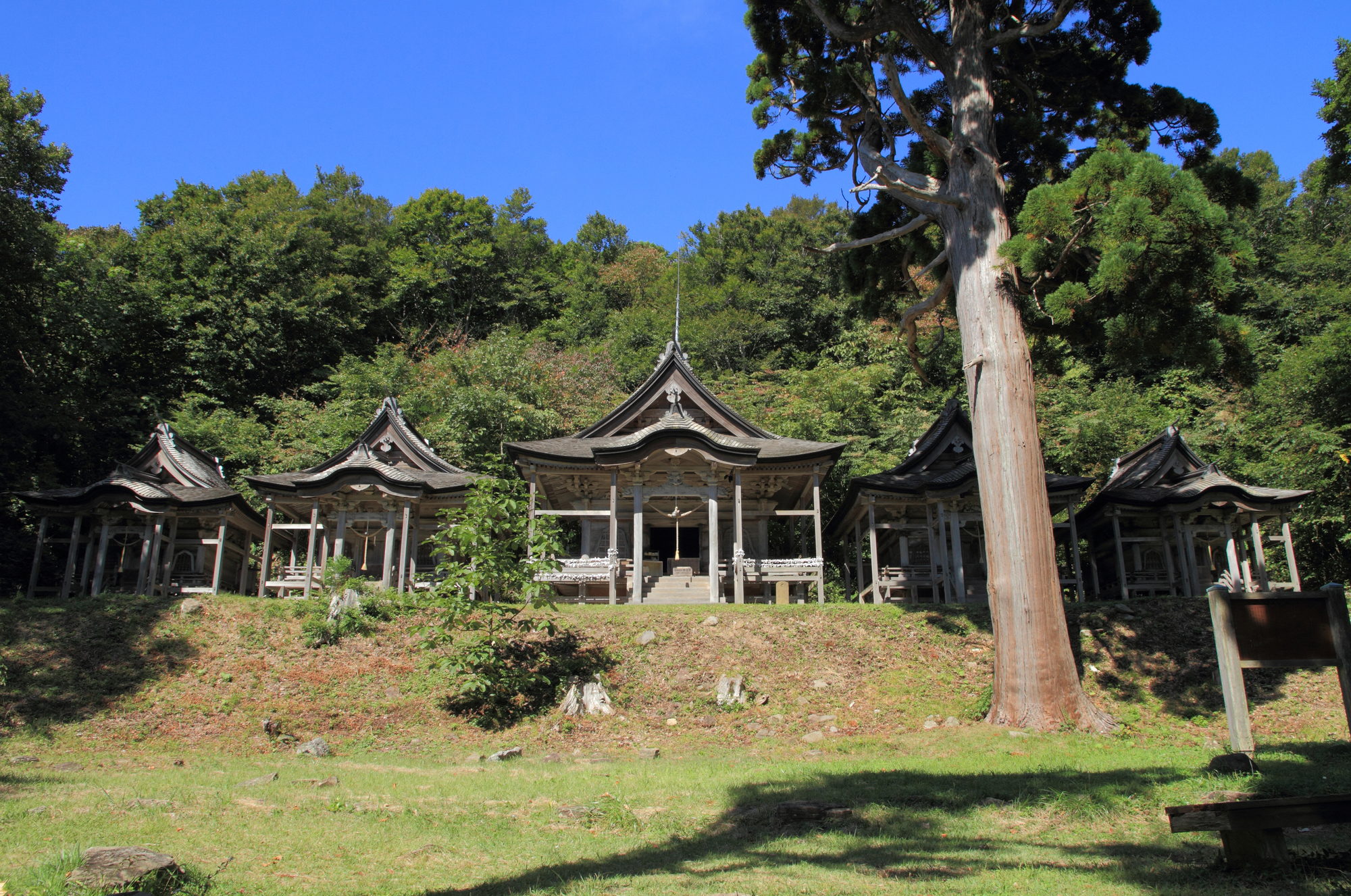 赤神神社の画像 - 2枚目