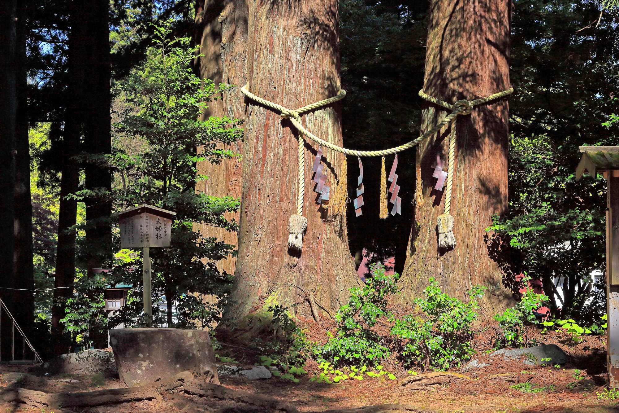 金峯神社の画像 - 2枚目