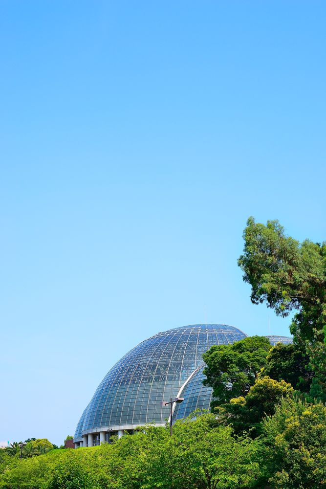夢の島熱帯植物館の画像 - 3枚目